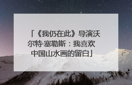 《我仍在此》导演沃尔特·塞勒斯：我喜欢中国山水画的留白