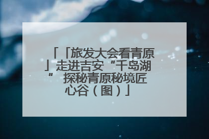 「旅发大会看青原」走进吉安“千岛湖” 探秘青原秘境匠心谷（图）