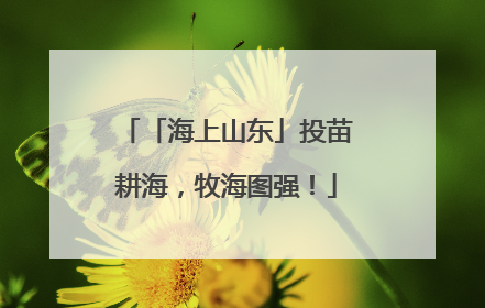 「海上山东」投苗耕海，牧海图强！