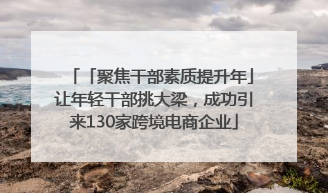「聚焦干部素质提升年」让年轻干部挑大梁，成功引来130家跨境电商企业