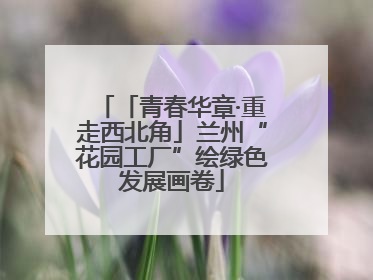 「青春华章·重走西北角」兰州“花园工厂”绘绿色发展画卷
