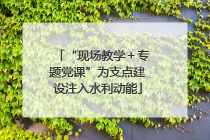 “现场教学＋专题党课”为支点建设注入水利动能