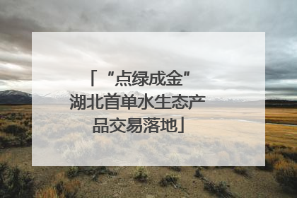 “点绿成金” 湖北首单水生态产品交易落地