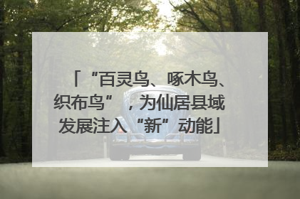 “百灵鸟、啄木鸟、织布鸟”，为仙居县域发展注入“新”动能