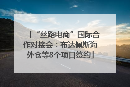 “丝路电商”国际合作对接会：布达佩斯海外仓等8个项目签约