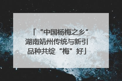 “中国杨梅之乡”湖南靖州传统与新引品种共绽“梅”好