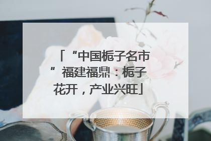 “中国栀子名市”福建福鼎：栀子花开，产业兴旺