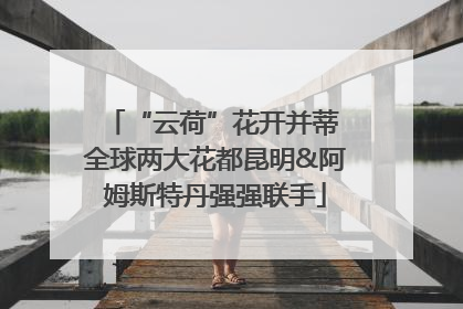 “云荷”花开并蒂 全球两大花都昆明&阿姆斯特丹强强联手