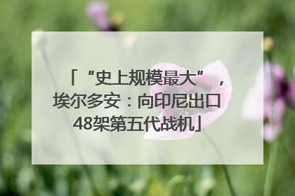 “史上规模最大”，埃尔多安：向印尼出口48架第五代战机