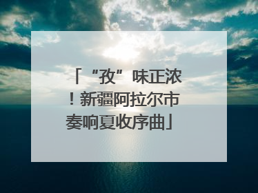 “孜”味正浓！新疆阿拉尔市奏响夏收序曲