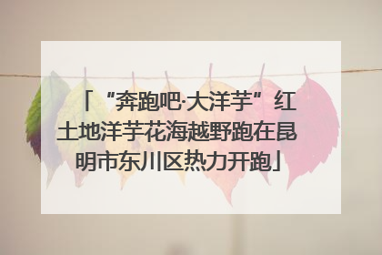 “奔跑吧·大洋芋”红土地洋芋花海越野跑在昆明市东川区热力开跑