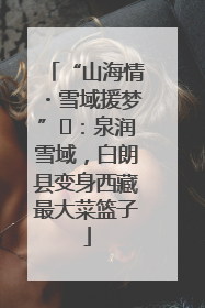 “山海情・雪域援梦”⑪：泉润雪域，白朗县变身西藏最大菜篮子