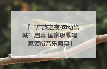 “广旅之夜·声动邕城”启幕 国家级歌唱家领衔音乐盛宴