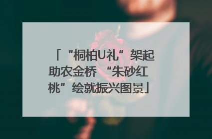 “桐柏U礼”架起助农金桥 “朱砂红桃”绘就振兴图景