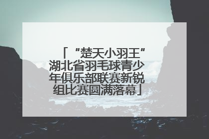 “楚天小羽王”湖北省羽毛球青少年俱乐部联赛新锐组比赛圆满落幕