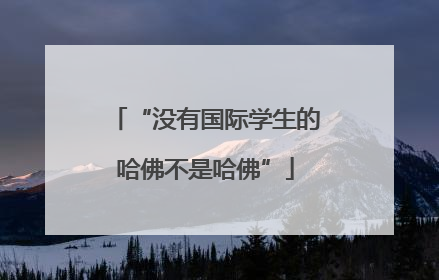 “没有国际学生的哈佛不是哈佛”