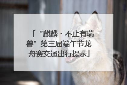“麒麟・不止有瑞兽”第三届端午节龙舟赛交通出行提示