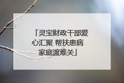 灵宝财政干部爱心汇聚 帮扶患病家庭渡难关