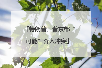 特朗普、普京都“可能”介入冲突