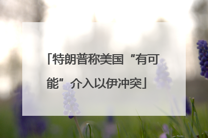 特朗普称美国“有可能”介入以伊冲突