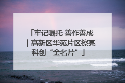 牢记嘱托 善作善成｜高新区华苑片区擦亮科创“金名片”