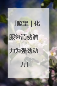 瞭望｜化服务消费潜力为强劲动力