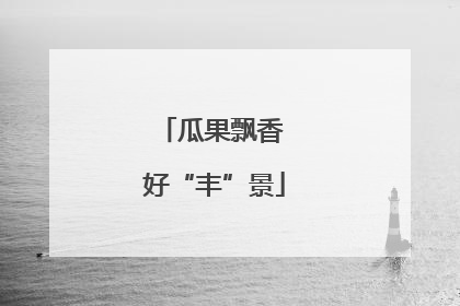 瓜果飘香 好“丰”景