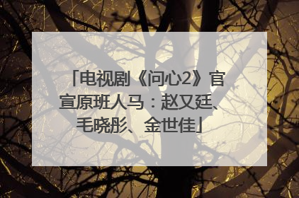 电视剧《问心2》官宣原班人马：赵又廷、毛晓彤、金世佳