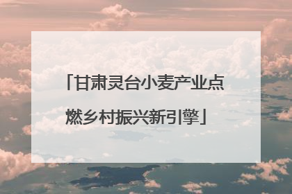 甘肃灵台小麦产业点燃乡村振兴新引擎