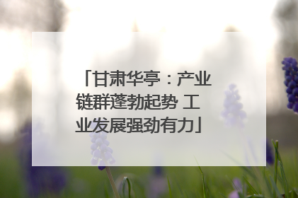 甘肃华亭：产业链群蓬勃起势 工业发展强劲有力