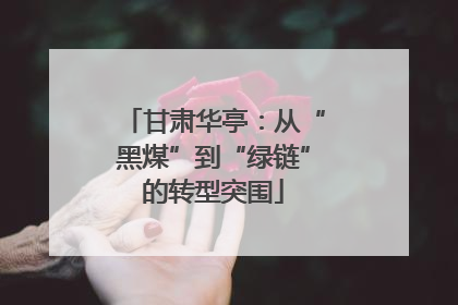甘肃华亭：从“黑煤”到“绿链”的转型突围