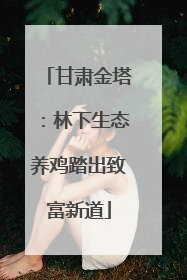 甘肃金塔：林下生态养鸡踏出致富新道