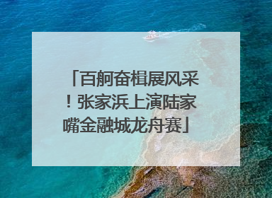 百舸奋楫展风采！张家浜上演陆家嘴金融城龙舟赛