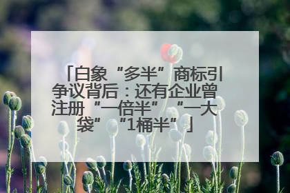 白象“多半”商标引争议背后：还有企业曾注册“一倍半”“一大袋”“1桶半”
