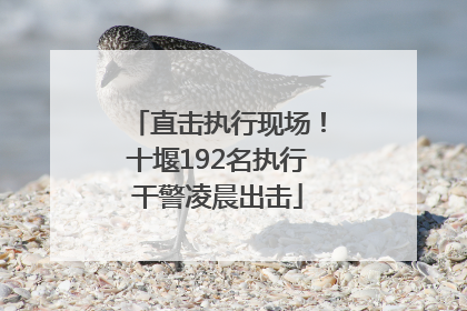 直击执行现场！十堰192名执行干警凌晨出击