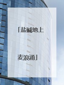 盐碱地上麦浪涌