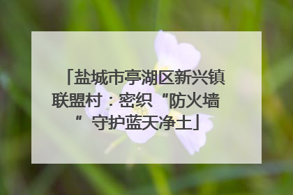 盐城市亭湖区新兴镇联盟村：密织“防火墙”守护蓝天净土