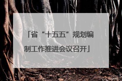 省“十五五”规划编制工作推进会议召开