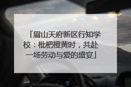眉山天府新区行知学校：枇杷橙黄时，共赴一场劳动与爱的盛宴