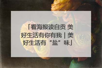 看海报读自贡 美好生活有你有我｜美好生活有“盐”味