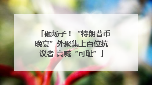 砸场子！“特朗普币晚宴”外聚集上百位抗议者 高喊“可耻”