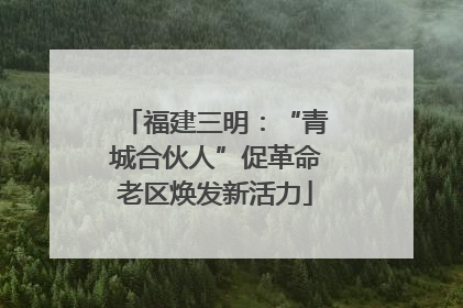 福建三明：“青城合伙人”促革命老区焕发新活力