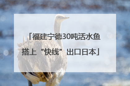 福建宁德30吨活水鱼搭上“快线”出口日本