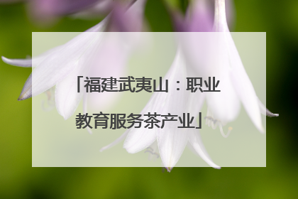 福建武夷山：职业教育服务茶产业