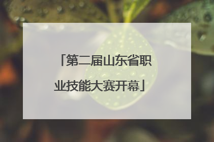 第二届山东省职业技能大赛开幕