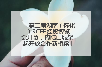 第二届湖南（怀化）RCEP经贸博览会开幕，内陆山城架起开放合作新桥梁