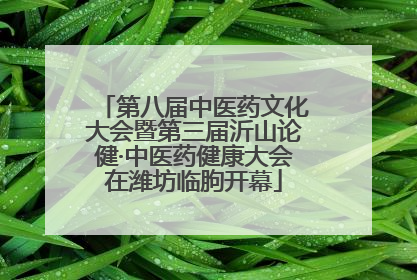 第八届中医药文化大会暨第三届沂山论健·中医药健康大会在潍坊临朐开幕