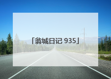 翁城日记 935