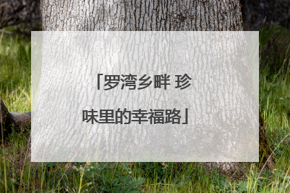 罗湾乡畔 珍味里的幸福路