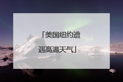 美国纽约遭遇高温天气